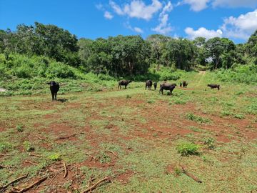 Rancho WOTOCH KEEJ de 31 HAS con casa, granja y piscina