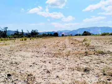 FARM LOT FOR SALE IN SAN FELIPE ZAMBALES