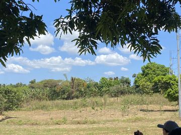 Affordable Pre-selling 996 sqm Farm Lot for sale in Magallanes Cavite