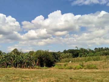 Affordable Pre-selling 996 sqm Farm Lot for sale in Magallanes Cavite