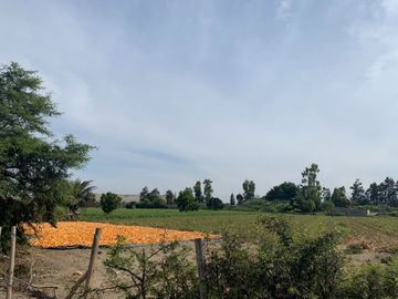 LINDO TERRENO.EN CARRETERA HUARAL AUCAYAMA