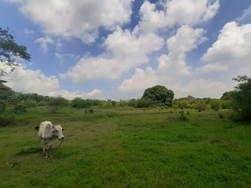 For Installment Lot For Sale in Taysan Batangas