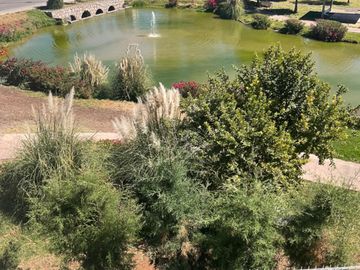 Casa en venta fraccionamiento privado cañadas del bosque, tres Marías.