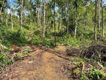 FOR SALE - Agricultural Land in Brgy. Nagsinamo, Lucban, Quezon