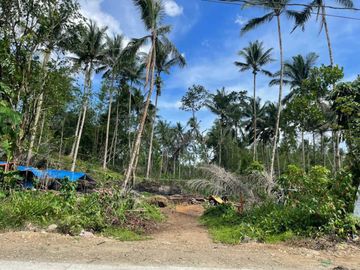 FOR SALE - Agricultural Land in Brgy. Nagsinamo, Lucban, Quezon