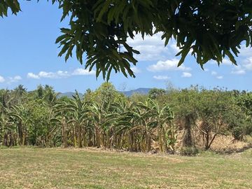 Affordable Pre-selling 996 sqm Farm Lot for sale in Magallanes Cavite