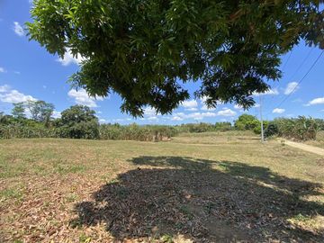 Affordable Pre-selling 996 sqm Farm Lot for sale in Magallanes Cavite