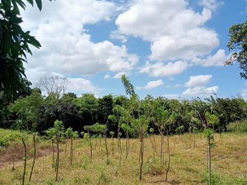 Affordable Pre-selling 996 sqm Farm Lot for sale in Magallanes Cavite