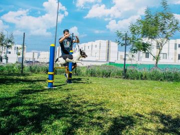 CASA EN VENTA A 15 MINUTOS DE CUERNAVACA, MORELOS; MÉXICO. 3 RECÁMARAS, ALBERCA, CANCHAS DEPORTIVAS Y PET PARK.