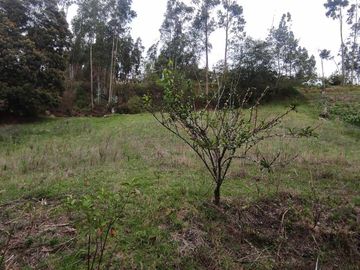 Terreno en Venta sector El Calvario de Sidcay