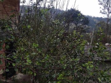 Terreno en Venta sector El Calvario de Sidcay