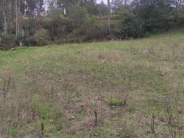 Terreno en Venta sector El Calvario de Sidcay