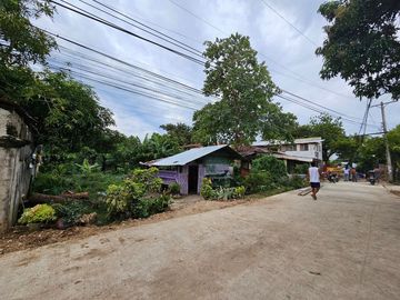 RARE FINDS, PRIME COMMERCIAL LOT in CORDOVA CEBU