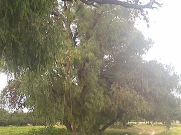 VENDO RANCHO 5.5 HECTAREAS CARRETERA SAN MIGUEL A DOLORES, CON CASAS, CABALLERIZAS, POZO, PEGADAS AL RIO LAJA Y CARRETERA DEL LADO DE DOLORES, HIDALGO