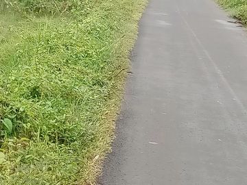 Tanah Murah Pinggir Jalan Dekat Tol Serang Timur Samping Visenda