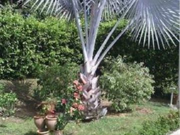 Casa Campestre en Alquiler Vacacional en Ricaurte- Cundinamarca