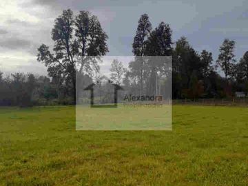 TERRENO EN VENTA DE 5000 M2  PRÓXIMO AL AEROPUERTO PICHOY,VALDIVIA