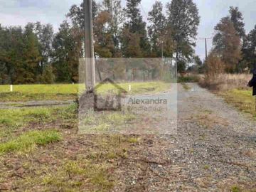 TERRENO EN VENTA DE 5000 M2  PRÓXIMO AL AEROPUERTO PICHOY,VALDIVIA