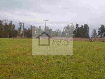 TERRENO EN VENTA DE 5000 M2  PRÓXIMO AL AEROPUERTO PICHOY,VALDIVIA