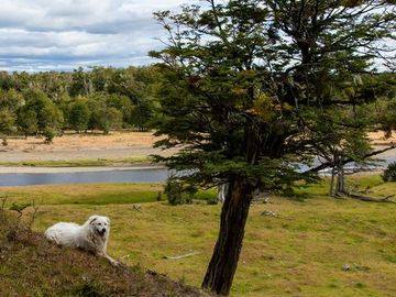 Parcelas en venta en Puerto Natales, Proyecto Las Caturras - Magallanes