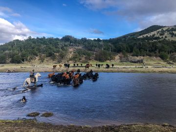 Parcelas en venta en Puerto Natales, Proyecto Las Caturras - Magallanes