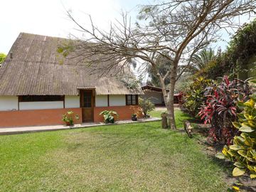 Propiedad en Pachacamac: Nave Industrial con Área Agroindustrial y 3 Casas