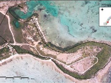 Terreno a la venta, Tulum, Quintana Roo.