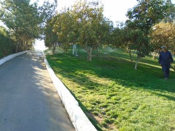 SE VENDE PARCELA CON CASA EN SECTOR LOMAS DEL PUANGUE