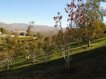 SE VENDE PARCELA CON CASA EN SECTOR LOMAS DEL PUANGUE