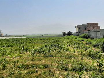 Lotes Campestres en Proyecto de Casas Huerta en Aucallama - Huaral