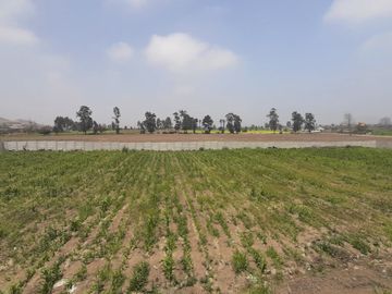 Lotes Campestres en Proyecto de Casas Huerta en Aucallama - Huaral
