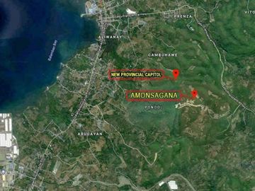 🏠FOR SALE AT AMONSAGANA RETIREMENT VILLAGE IN BALAMBAN, CEBU