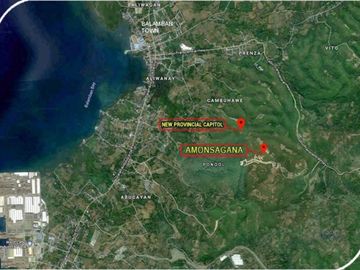 🏠FOR SALE AT AMONSAGANA RETIREMENT VILLAGE IN BALAMBAN, CEBU
