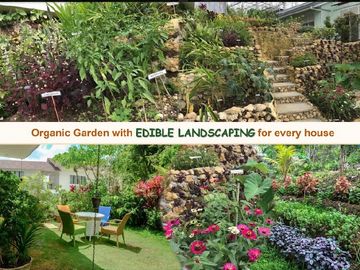 🏠FOR SALE AT AMONSAGANA RETIREMENT VILLAGE IN BALAMBAN, CEBU