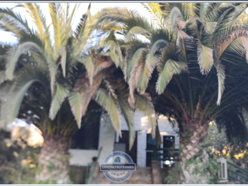 VENDE HERMOSA PARCELA EN CURACAVÍ