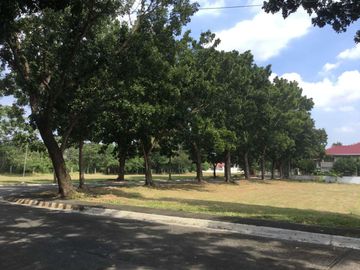 Manila Southwoods Corner Lot For Sale In Southwoods City Carmona Cavite Near Ciela At Aera By Ayala Land Premiere