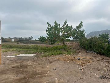 Venta Lote en Sur de Lima, zona Mala en Condominio Praderas del Sur. Ideal para familia y construir una casa de campo.