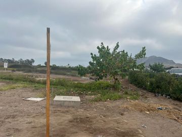 Venta Lote en Sur de Lima, zona Mala en Condominio Praderas del Sur. Ideal para familia y construir una casa de campo.