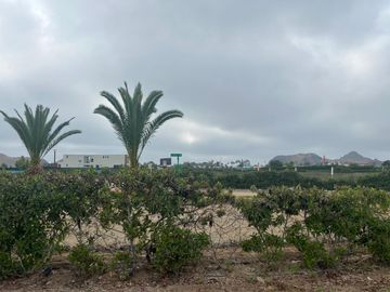 Venta Lote en Sur de Lima, zona Mala en Condominio Praderas del Sur. Ideal para familia y construir una casa de campo.