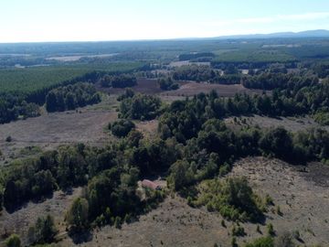 Campo en venta en Victoria - Villa O'Higgins - Temuco