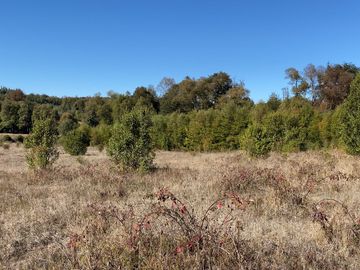 Campo en venta en Victoria - Villa O'Higgins - Temuco