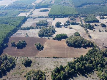 Campo en venta en Victoria - Villa O'Higgins - Temuco