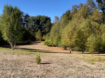 Campo en venta en Victoria - Villa O'Higgins - Temuco