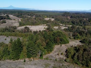 Campo en venta en Victoria - Villa O'Higgins - Temuco