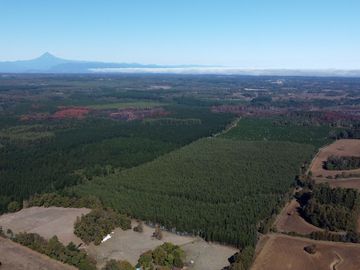 Campo en venta en Victoria - Villa O'Higgins - Temuco