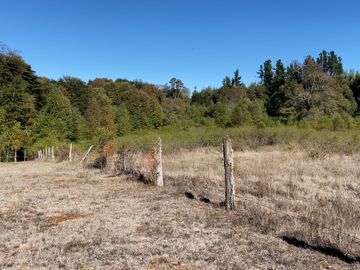 Campo en venta en Victoria - Villa O'Higgins - Temuco