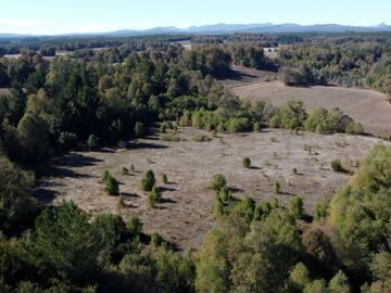 Campo en venta en Victoria - Villa O'Higgins - Temuco