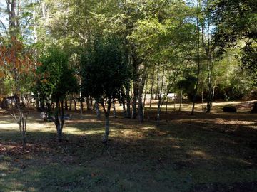 Campo en venta en Victoria - Villa O'Higgins - Temuco