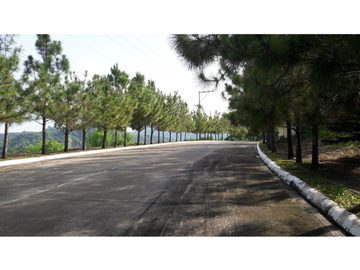 READY FOR OCCUPANCY 2 STOREY 4 BEDROOM SINGLE DETACHED HOUSE FOR SALE IN TALAMBAN, CEBU CITY