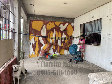 3 BEDROOMS HOUSE AND LOT FOR SALE IN NATIVIDAD SUBDIVISION PHASE 1, CALOOCAN CITY